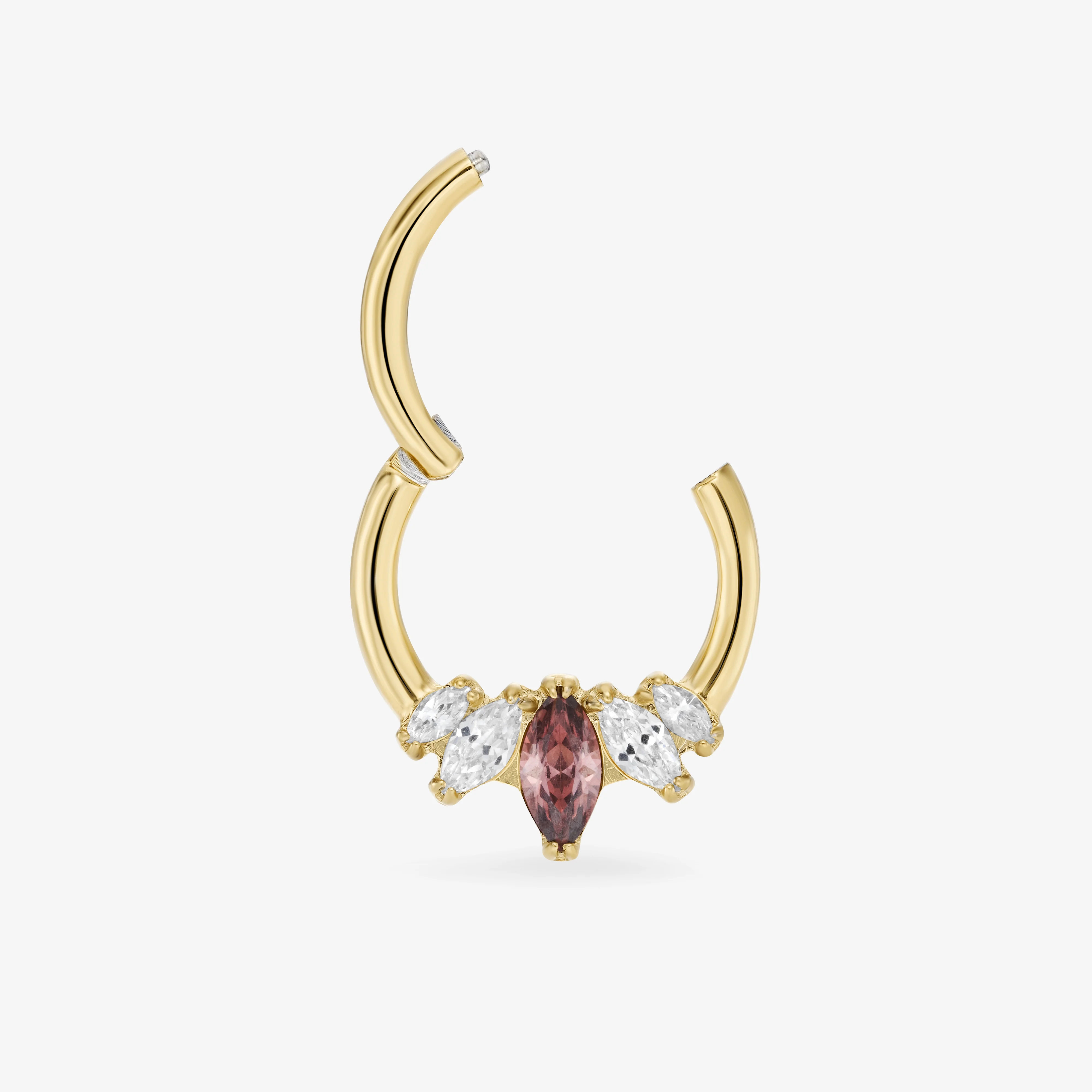 Daith Panthère - Image 4