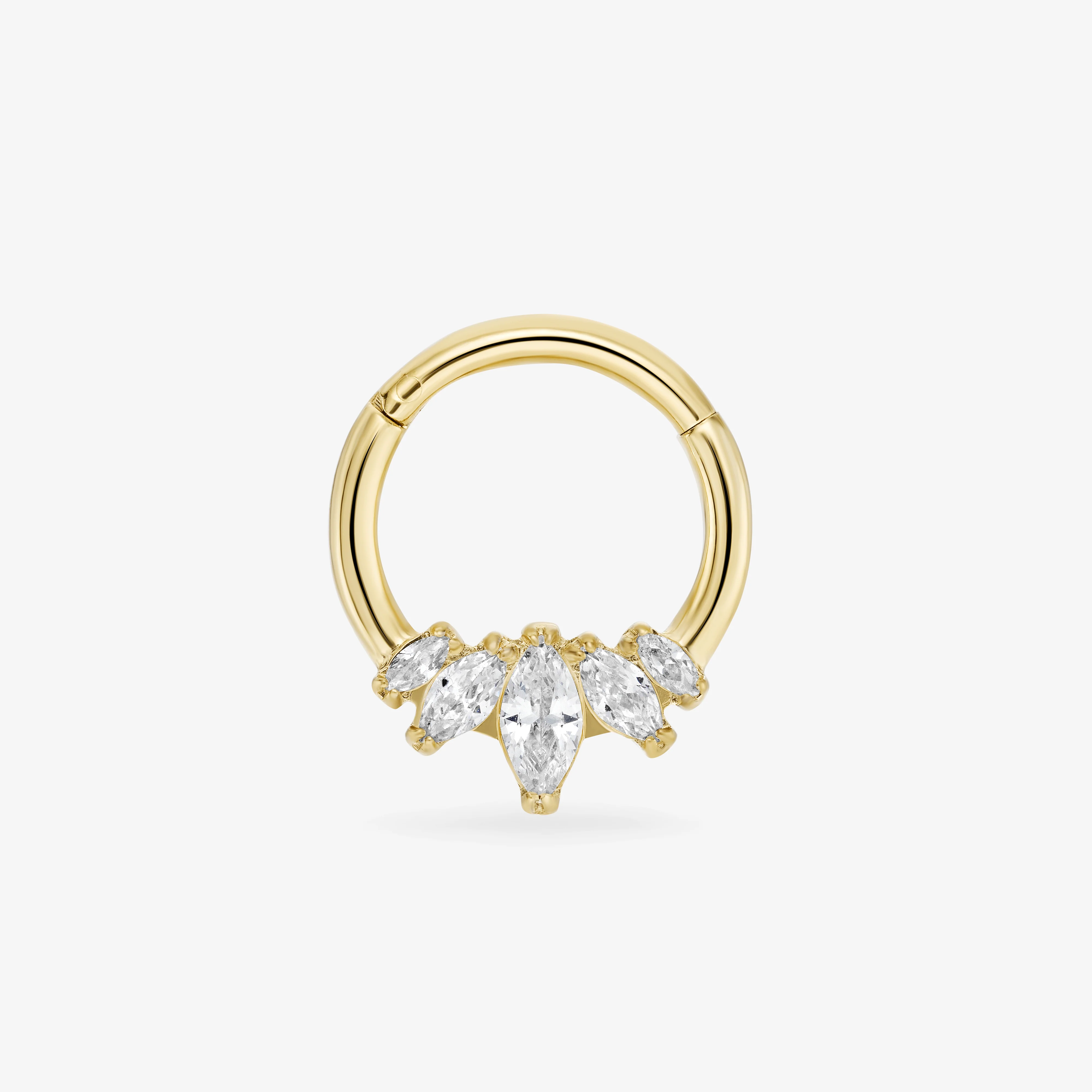 Daith Panthère Blanche