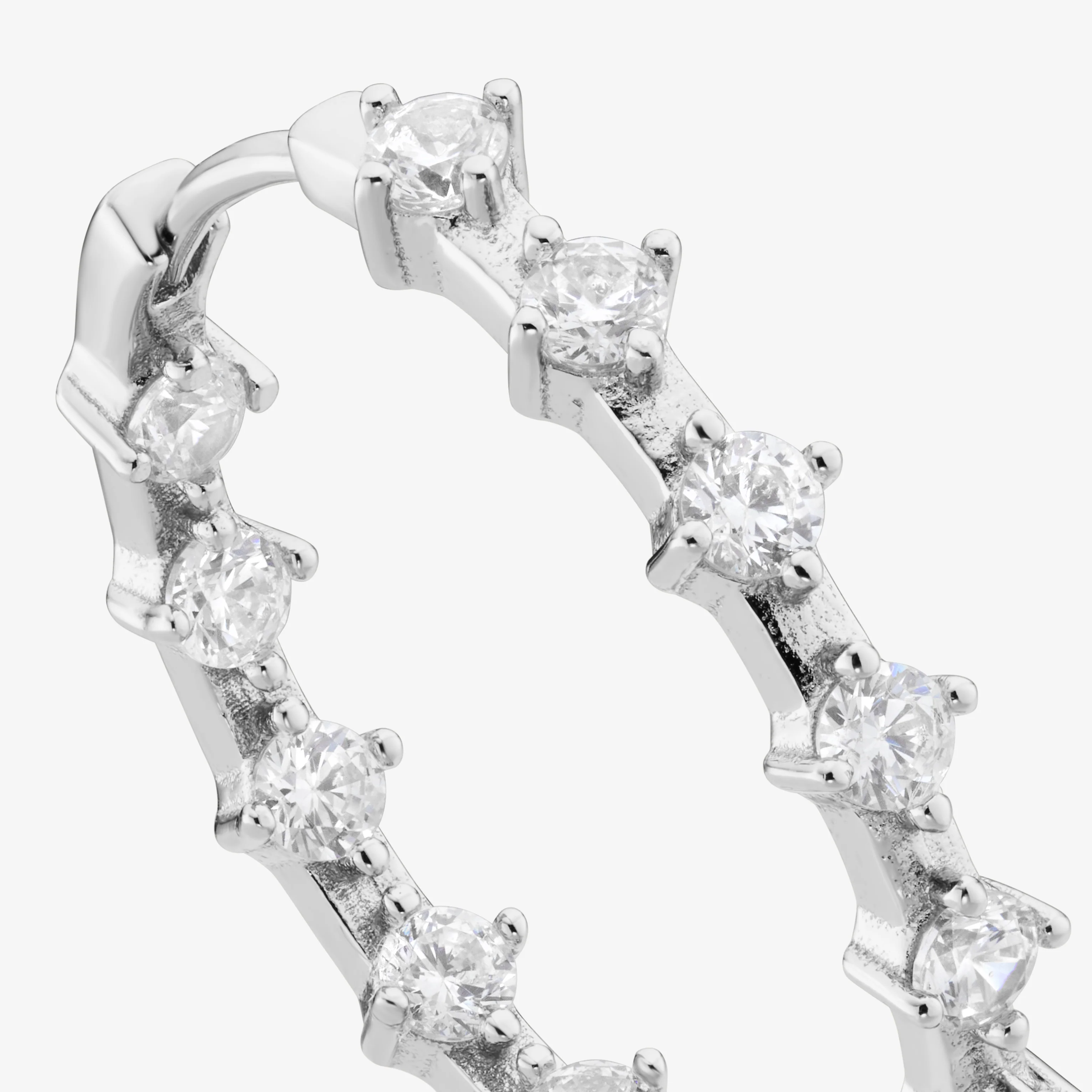 Grande Leona - Image 8