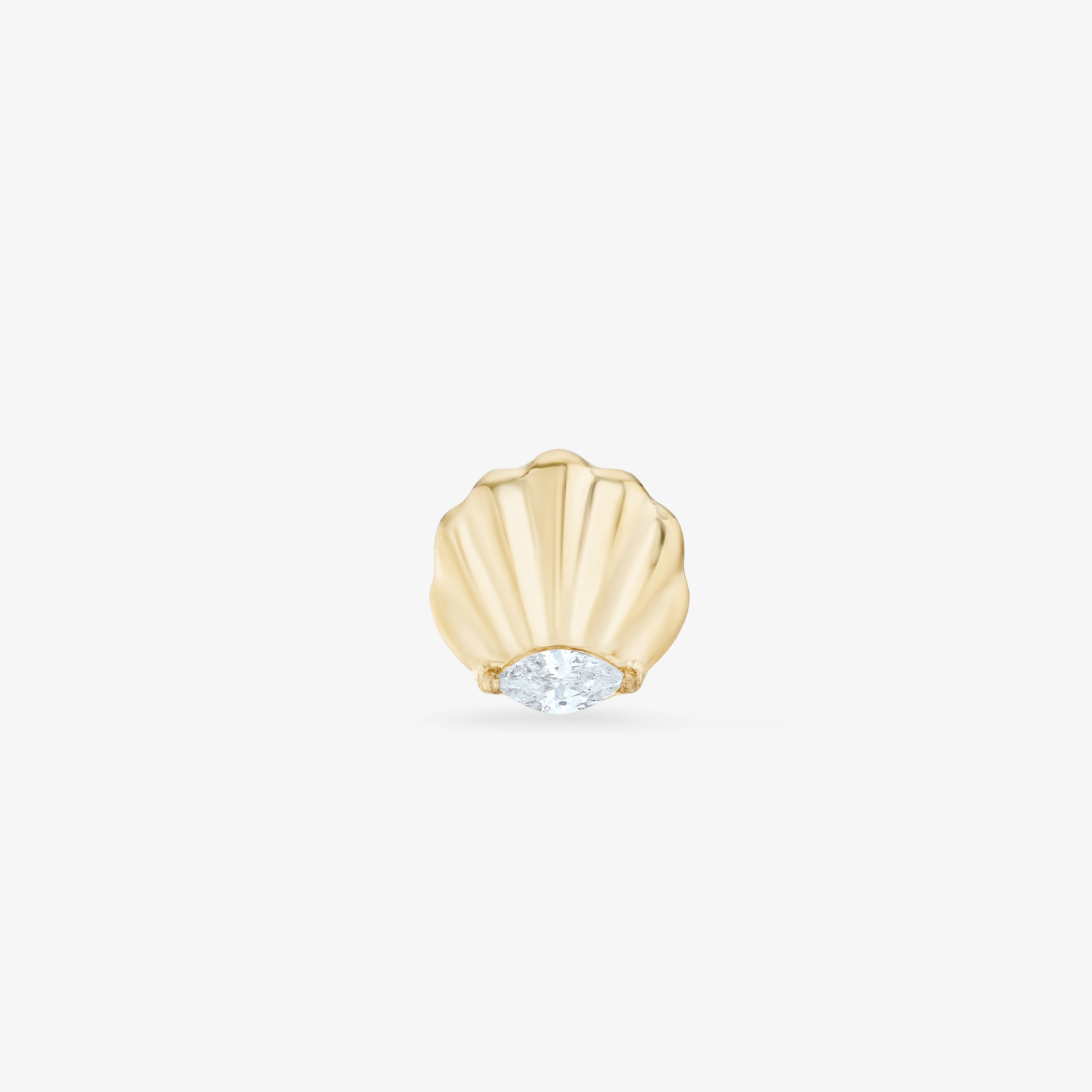 Seashell Titane - Image 2
