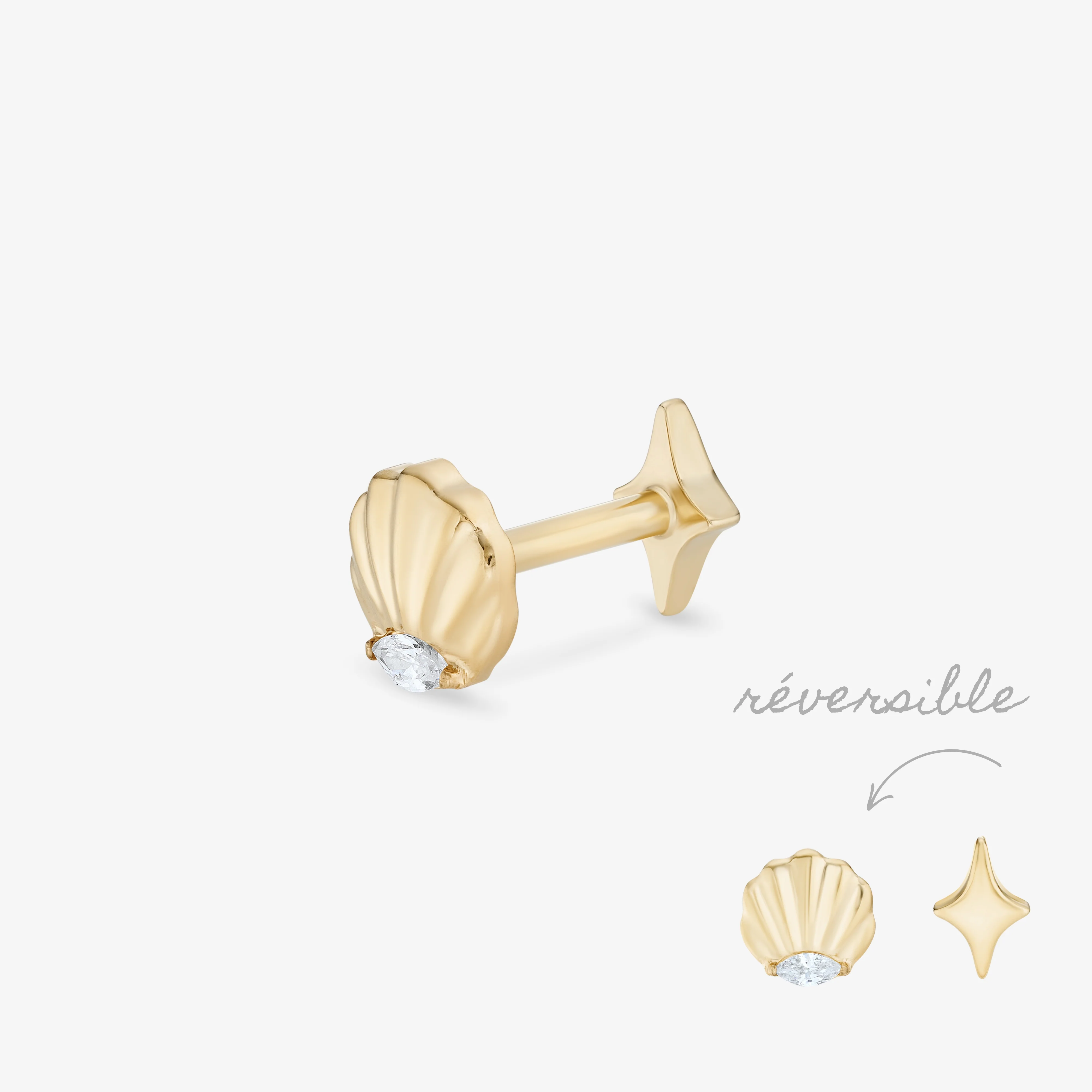 Seashell Titane - Image 4